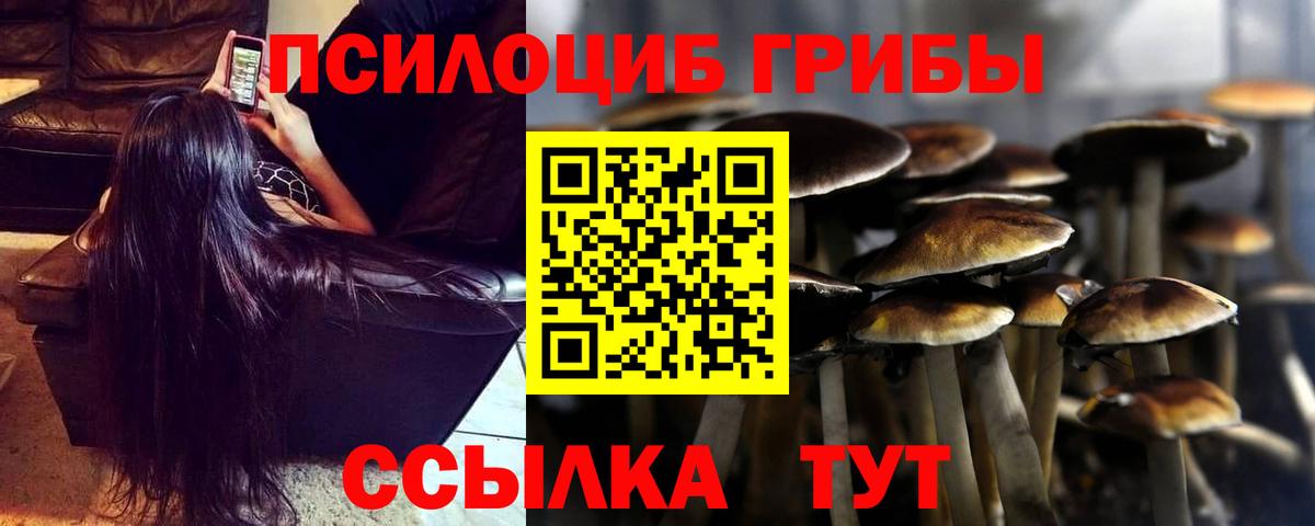 купить наркотик  Галлюциногенные грибы Magic Shrooms  Псилоцибиновые грибы GOLDEN TEACHER  Вход с VPN  Лянтор 