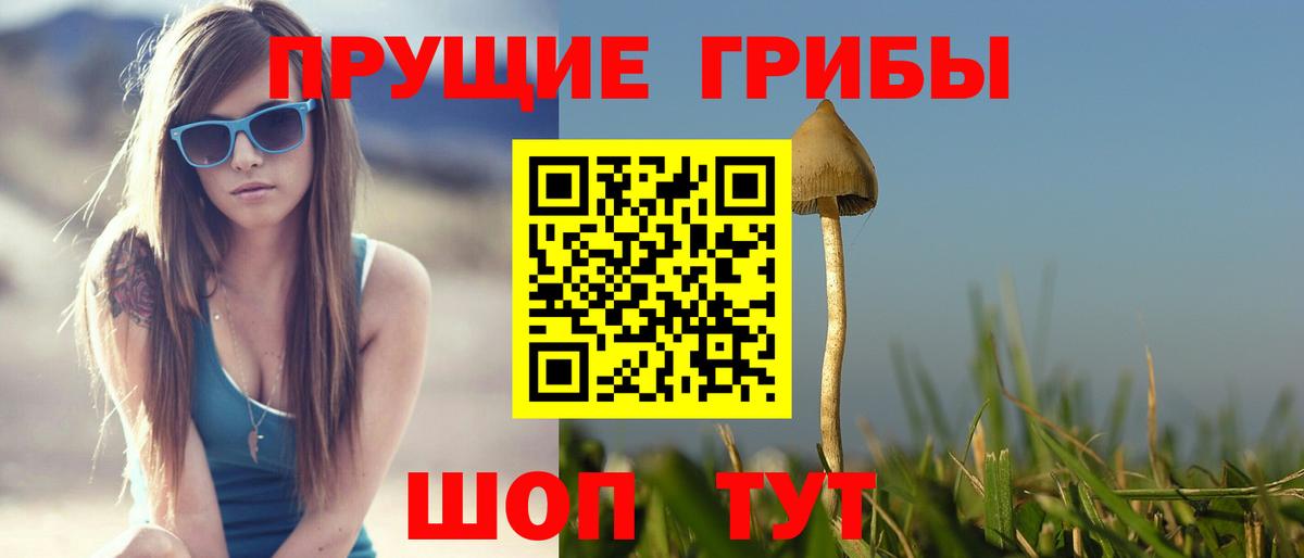 Галлюциногенные грибы Psilocybine cubensis Лянтор